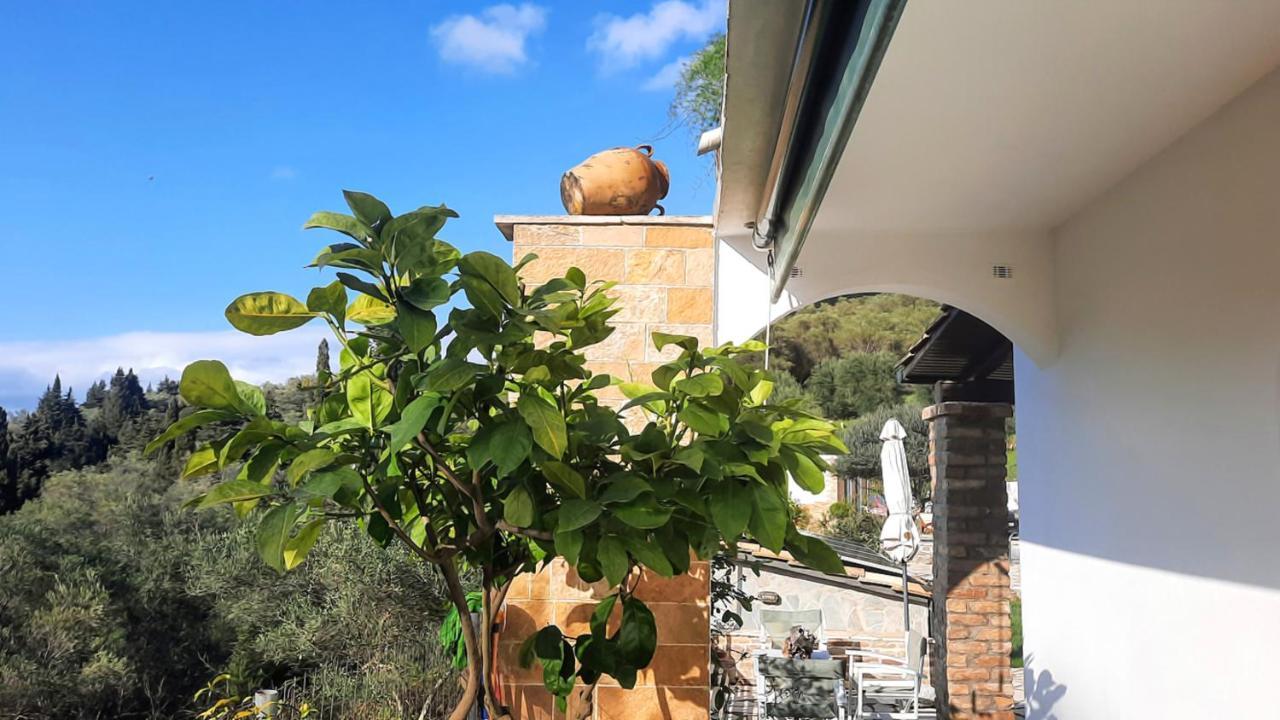 Villa Claire Corfu Achílleion エクステリア 写真