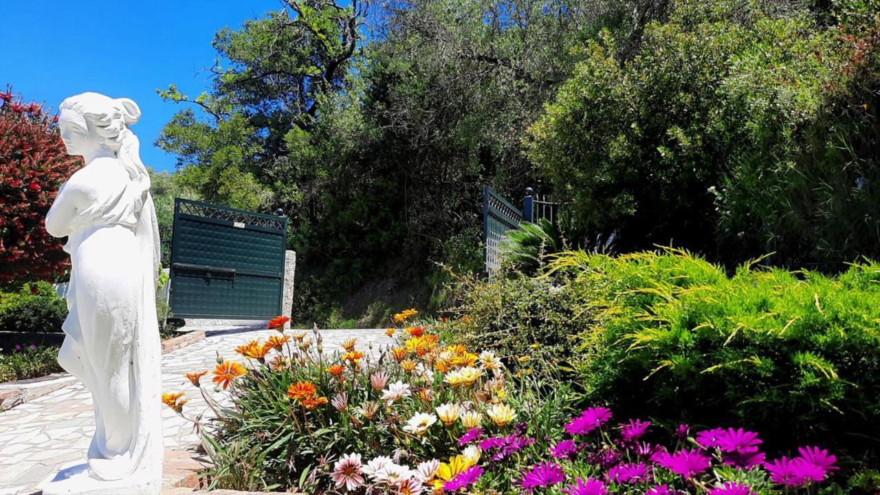 Villa Claire Corfu Achílleion エクステリア 写真